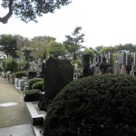 墓苑その１