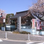 祥泉院（桜）