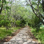 小櫃堰公園その３