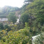 永昌寺寸景
